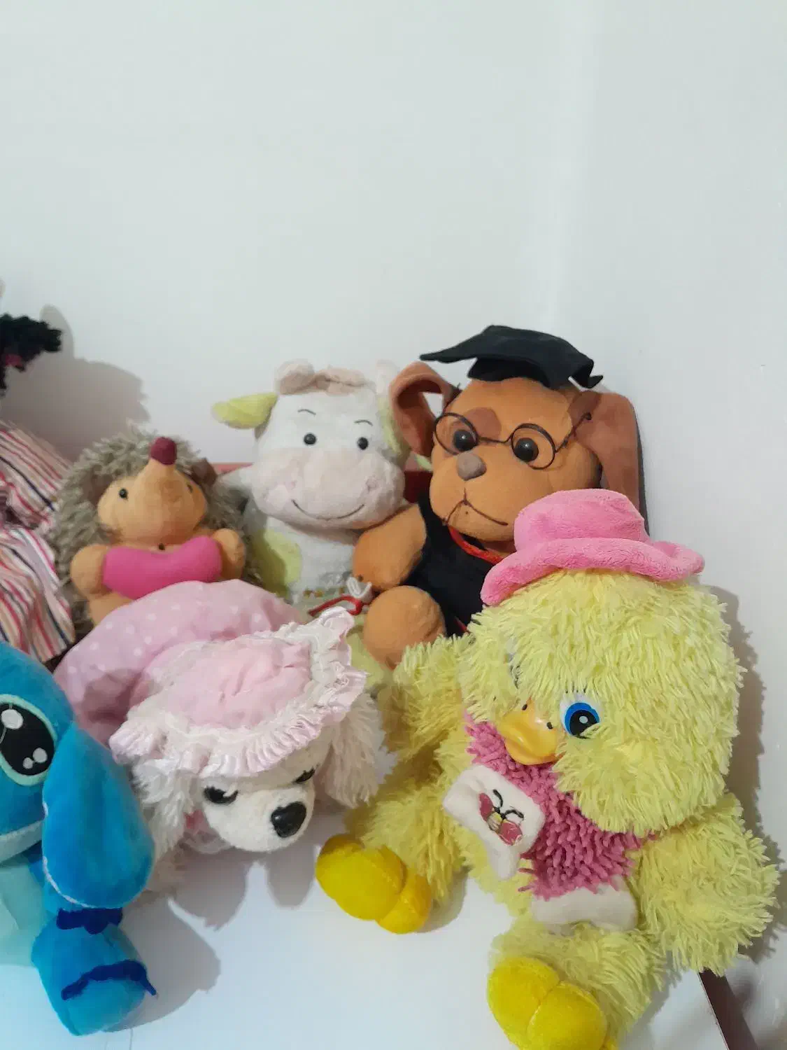 عروسک ها با هم با گیتار ۶۵۰|اسباببازی بچه|رشت, استقامت ۱|دیوار