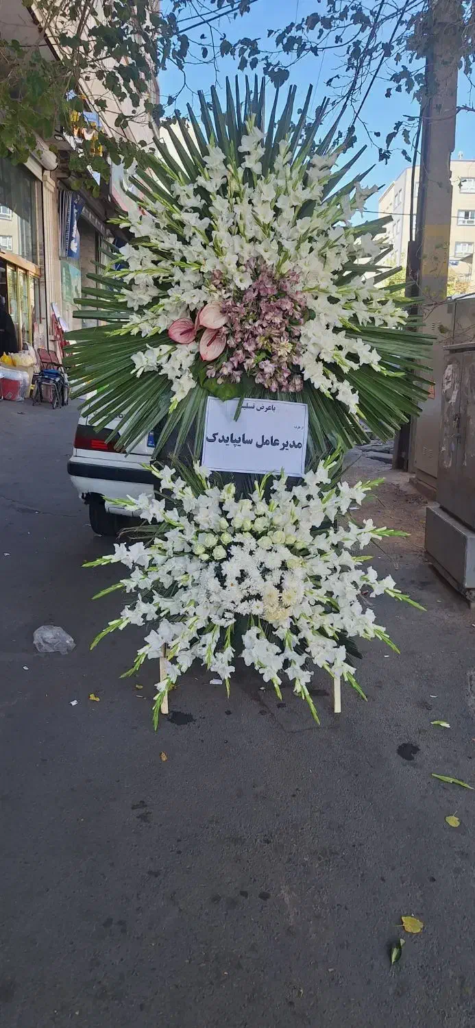 تاج گل ختم|گل و گیاه طبیعی|تبریز, |دیوار