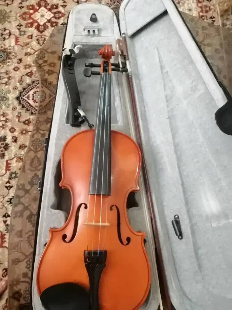 ویولون|ویولن|رباط‌کریم, رباط‌کریم|دیوار