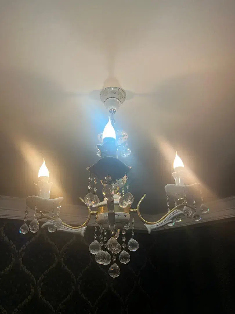 لوستر|لوستر و چراغ آویز|تبریز, |دیوار