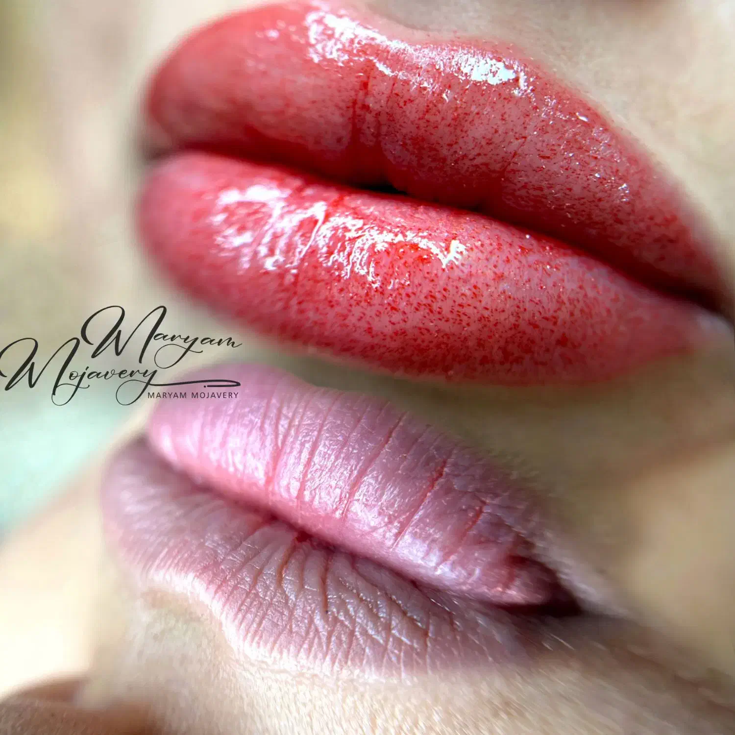 فوری مدل میکروبلیدینگ و شیدینگ لب|خدمات آرایشگری و زیبایی|لاهیجان, شقایق|دیوار