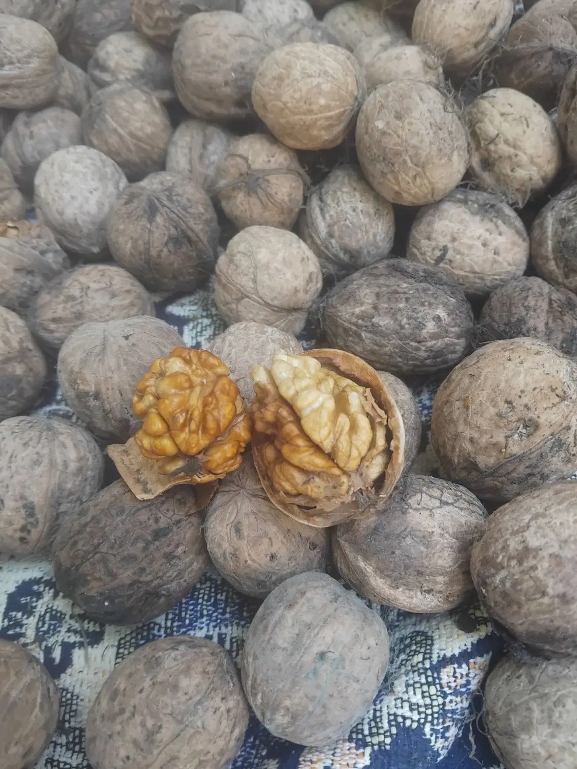 گردو|خوردنی و آشامیدنی|چهارباغ, |دیوار