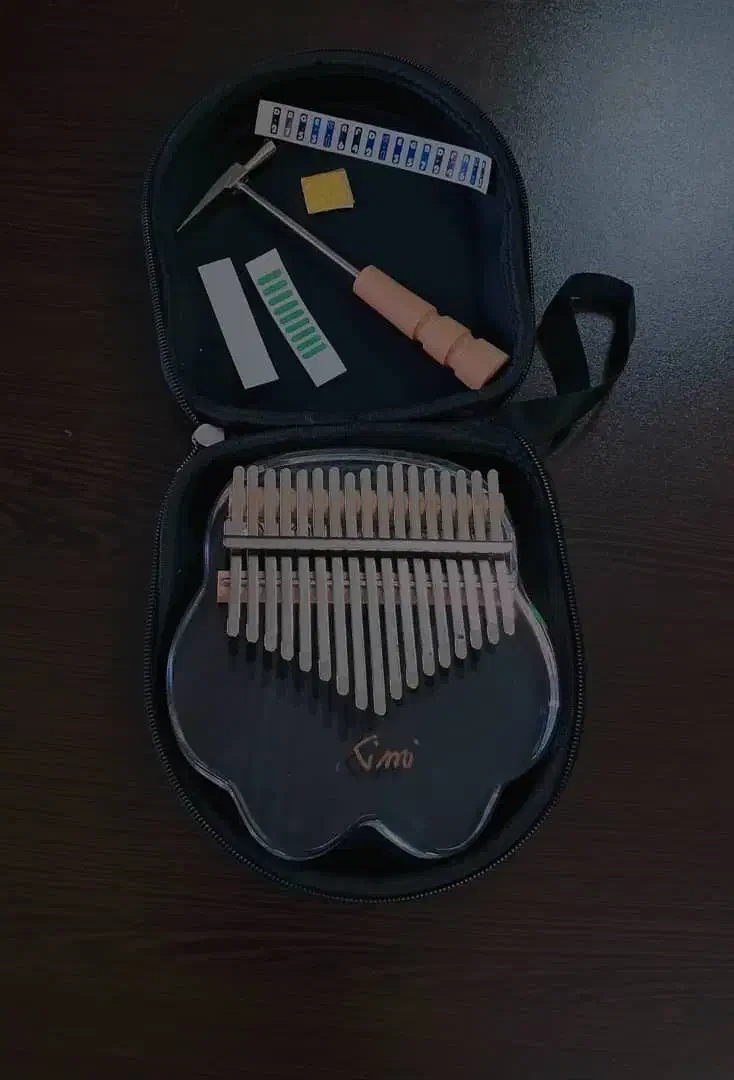 کالیمبا مدل پنجه گربه ایی|پیانو، کیبورد، آکاردئون|بندر انزلی, آذربایجان|دیوار