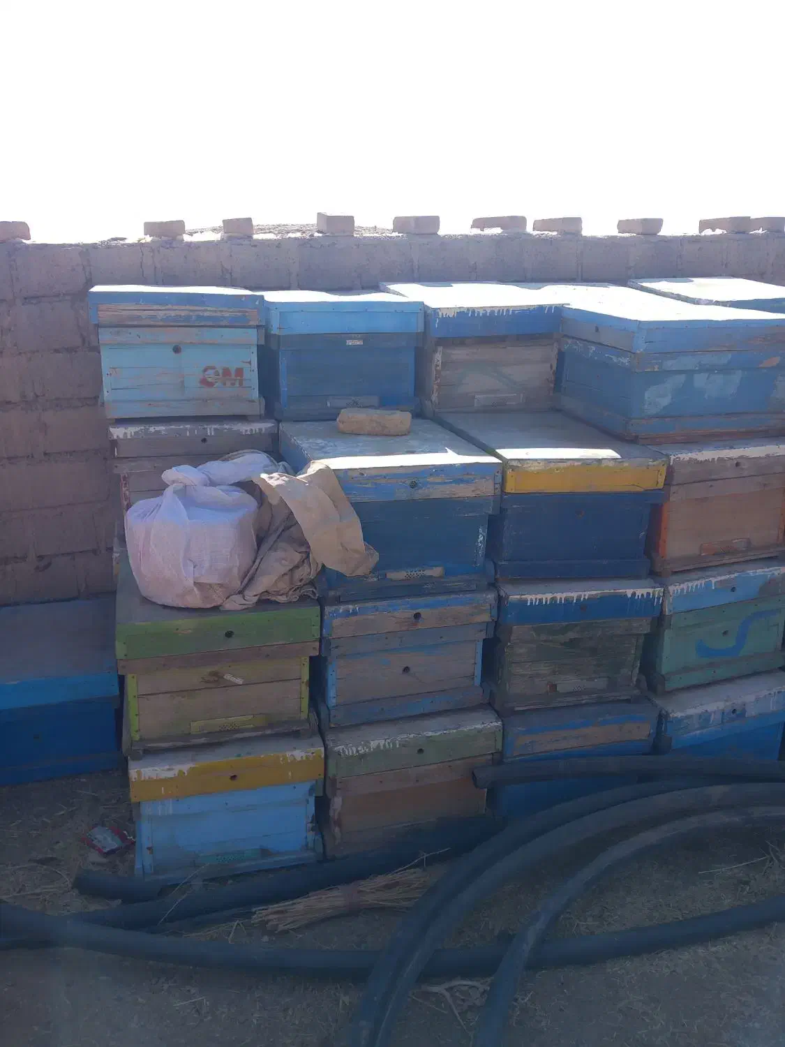 کندوزنبور|حیوانات مزرعه|بیلوار, |دیوار