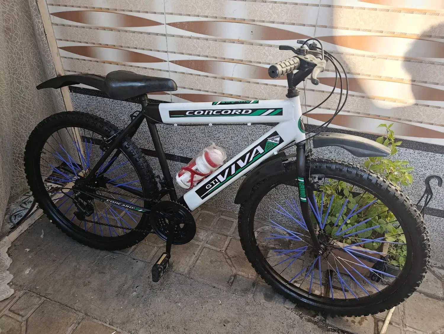 دوچرخه 26 ویوا دنده ای در حد آک|دوچرخه، اسکیت، اسکوتر|کرمان, |دیوار