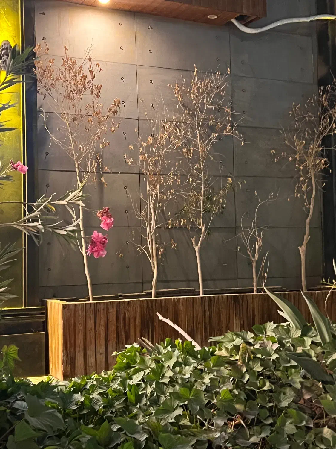 مدیریت هتل ( مشخصات رو واتساب پیام دهید|استخدام اداری و مدیریت|عسلویه, |دیوار