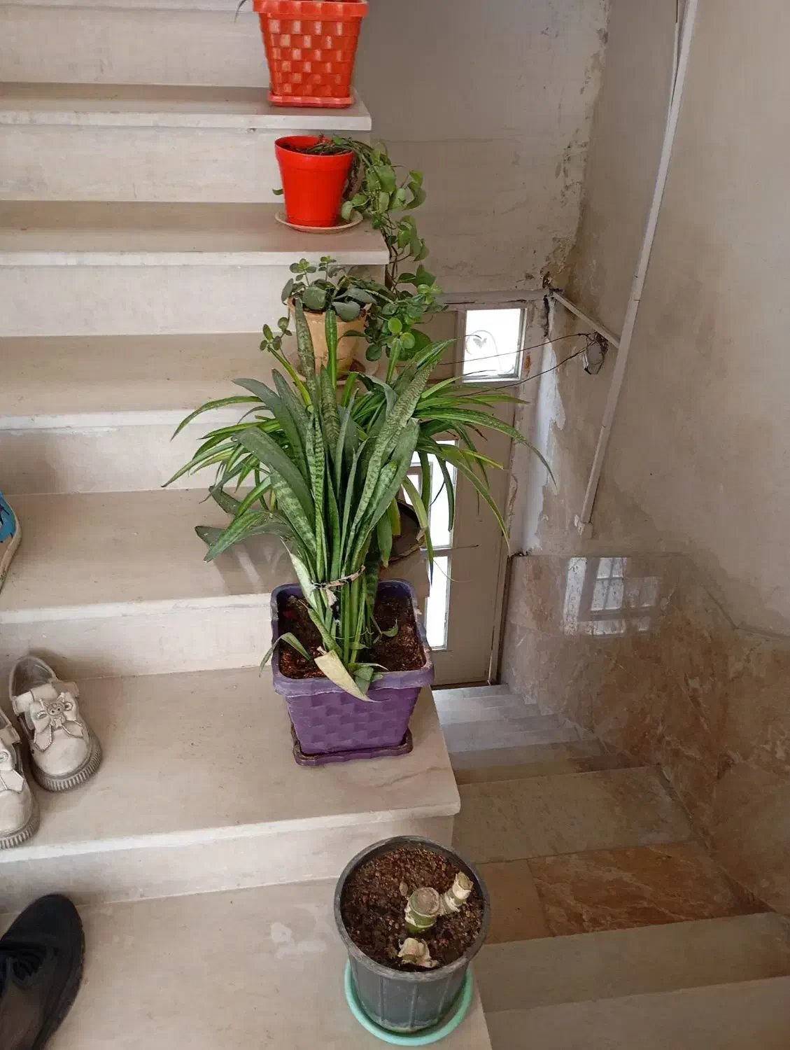 دوچرخه در حدنو|دوچرخه، اسکیت، اسکوتر|دورود, |دیوار