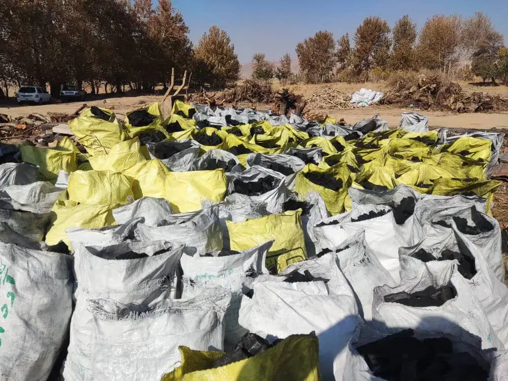 فروش زغال کبابی با بهترین کیفیت|عمدهفروشی|محمدیه-قزوین, |دیوار