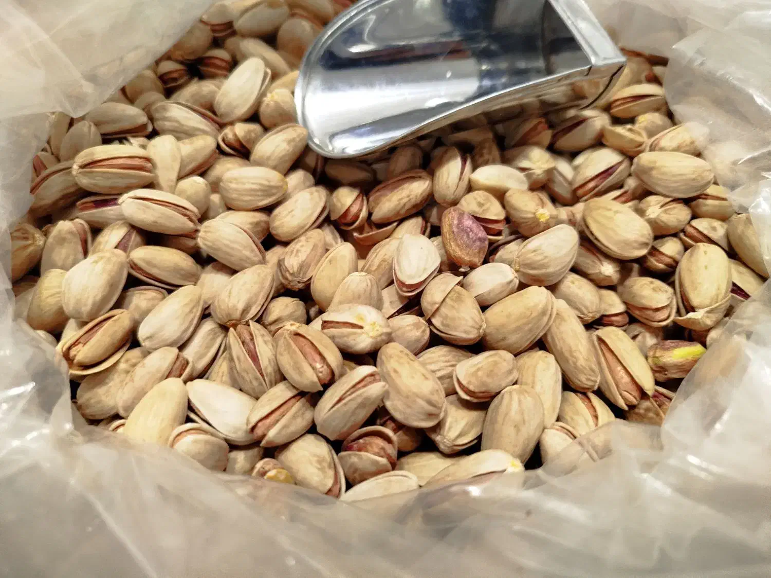 پسته علی|خوردنی و آشامیدنی|تهران, ایران|دیوار