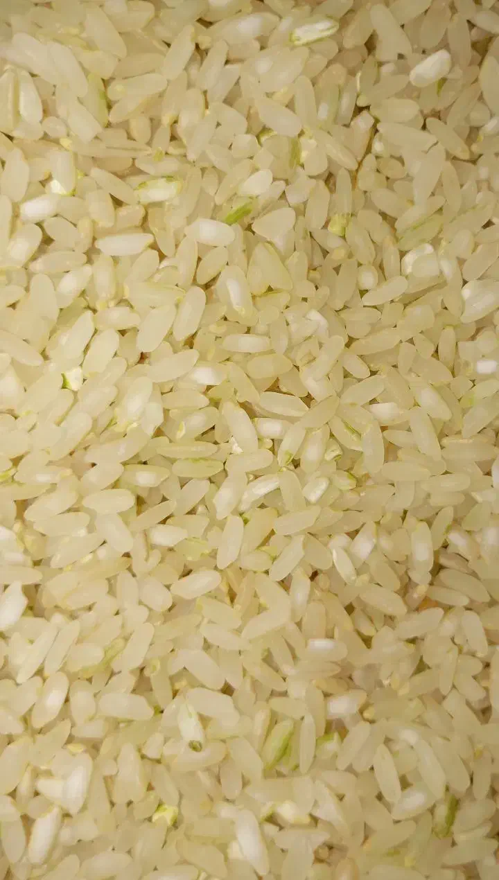 برنج کامفیروز عطر و بو عالی|خوردنی و آشامیدنی|یزد, |دیوار