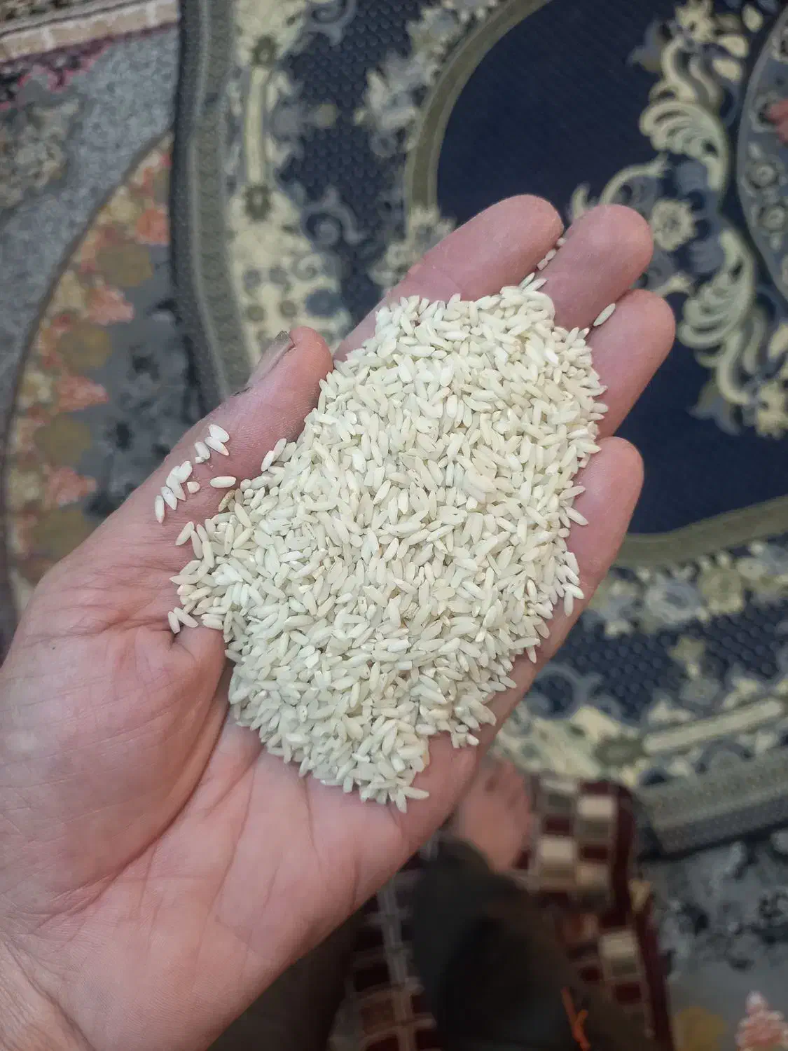 برنج عنبر بو|خوردنی و آشامیدنی|اهواز, گلدشت|دیوار