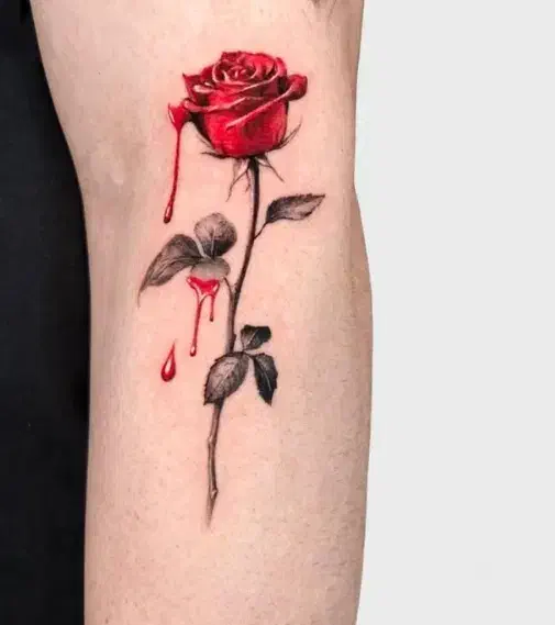 اجرا و آموزش تتو بدن همراه با مدرک|خدمات آموزشی|پاکدشت, پاکدشت (مامازند)|دیوار