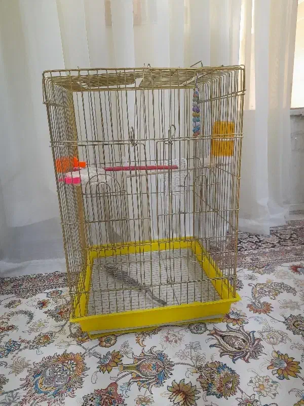قفس پرنده|لوازم جانبی حیوانات|نیشابور, پنجراه|دیوار