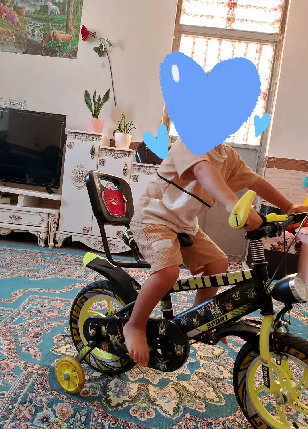 چرخ دزدیده شده|اشیا|جیرفت, |دیوار