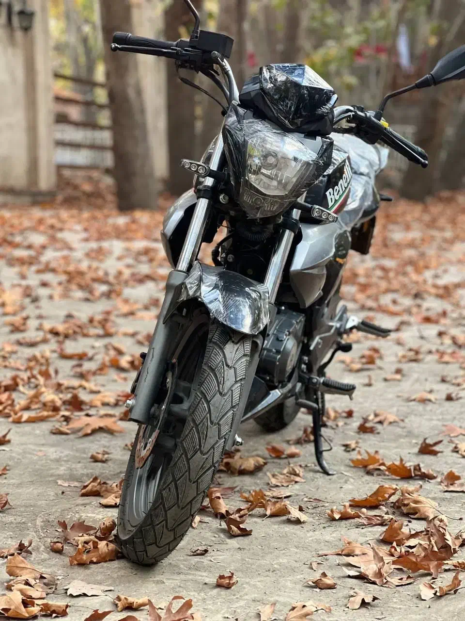 فروش بنلی150|موتورسیکلت|مشهد, امیر|دیوار