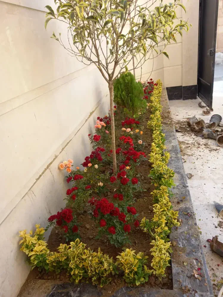 خدمات باغبانی گلکاری هرس کاری تعویض خاک گلدان|خدمات باغبانی و درختکاری|پردیس, فاز ۸|دیوار