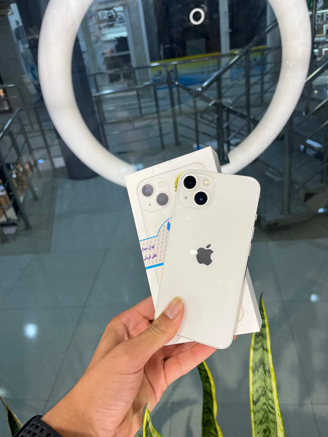 iphone 13|موبایل|گنبد کاووس, |دیوار