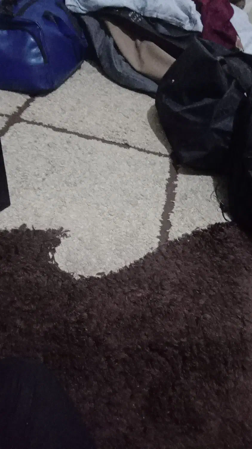 فروش فوری فرش ۹ و ۶ متری|فرش|تهران, دربند|دیوار