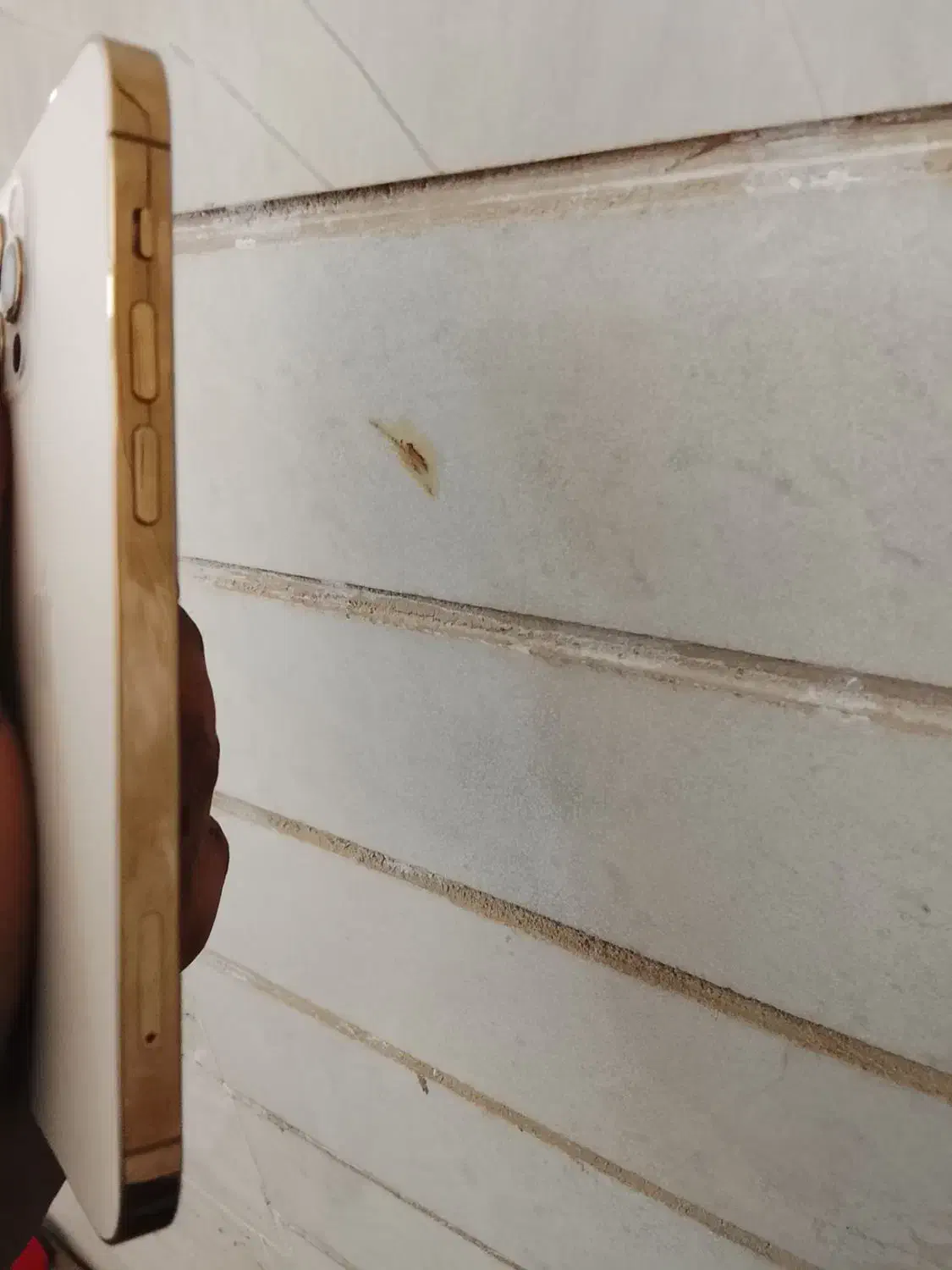 ایفون ۱۲ پرو|موبایل|یزد, |دیوار