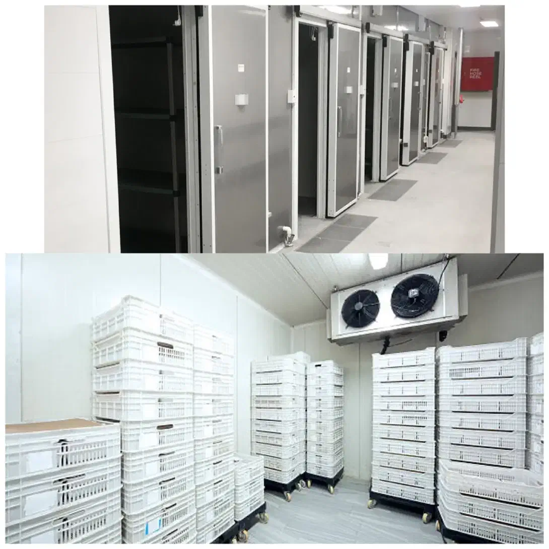 515 فروش و تولید انواع 515 سردخانه 515|ماشین‌آلات صنعتی|کرمان, |دیوار