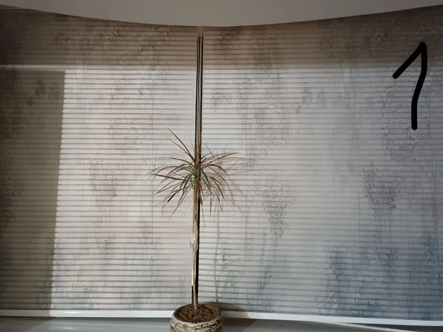 پرده زبرا پارچه ترک درجه یک نو|پرده، رانر، رومیزی|فردیس, شهرک ارم|دیوار