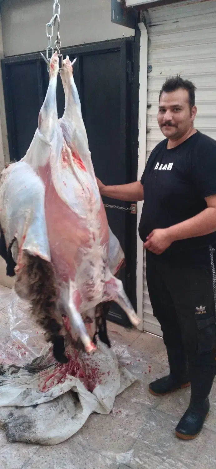 قصاب سیار|حیوانات مزرعه|قزوین, |دیوار