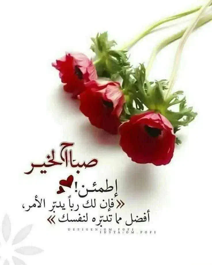 تور مشهد مقدس|تور و چارتر|اهواز, امانیه|دیوار