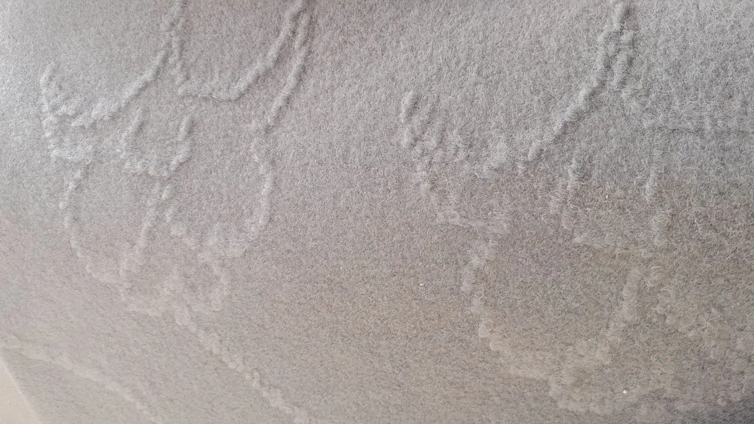 موکت طوسی|موکت|لنگرود, |دیوار