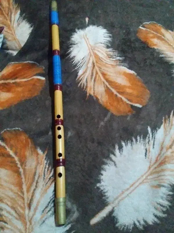 نی دندونی|سازهای بادی|ورامین, ورامین|دیوار