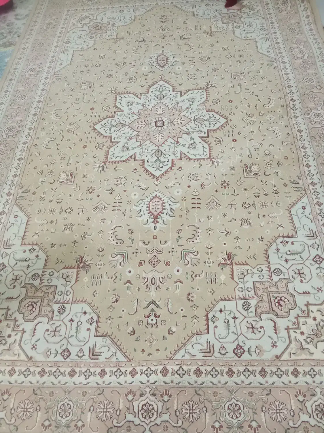 2در3|فرش|نیشابور, بنیاد شهید|دیوار