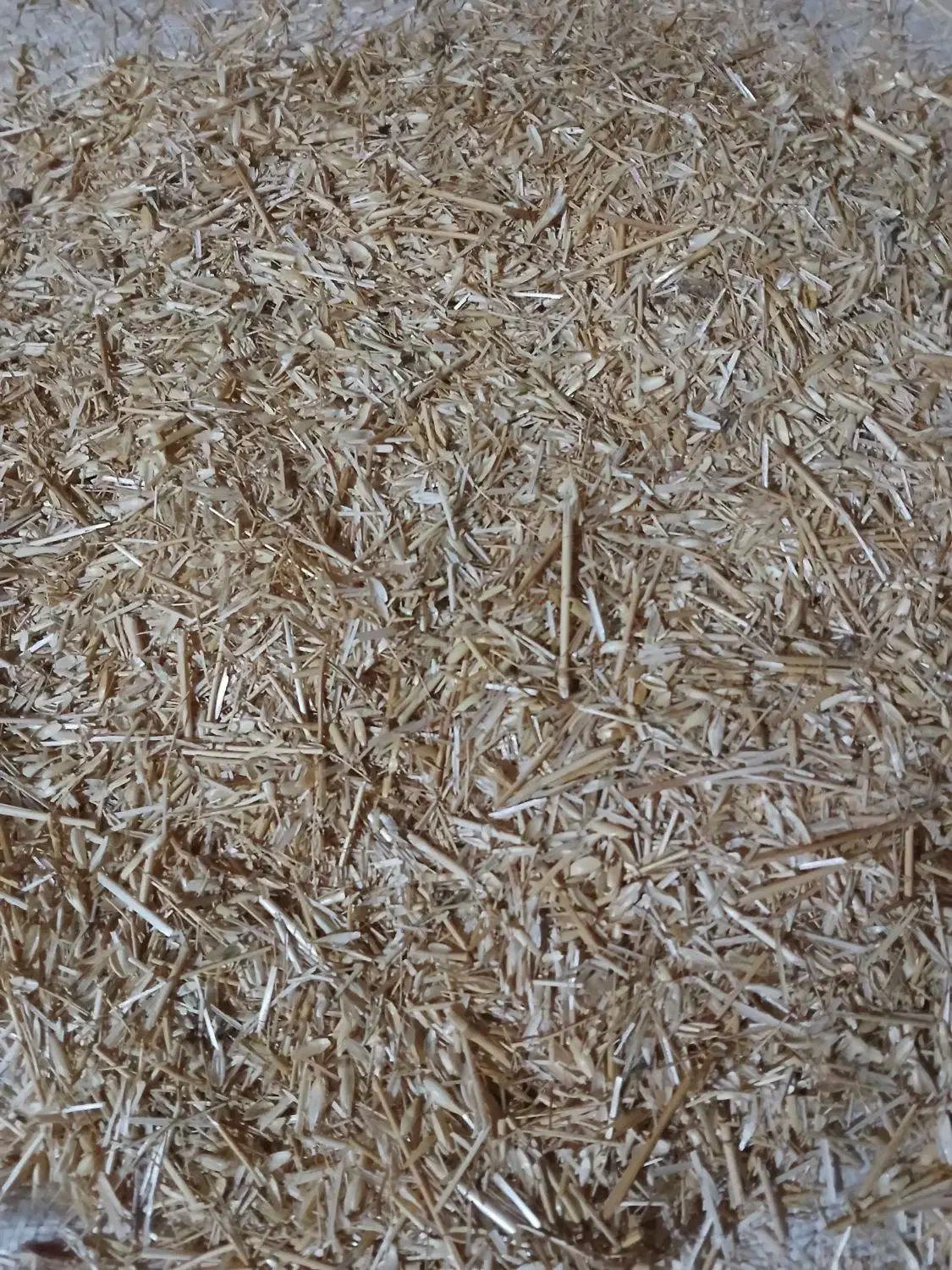 کاه و یونجه|لوازم جانبی حیوانات|دشتابی, |دیوار