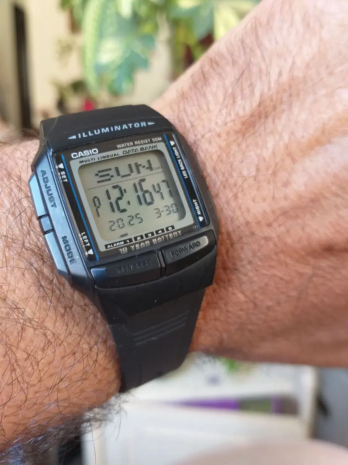 کاسیو ۲۰۲۴  لیمتد|ساعت|صباشهر, |دیوار