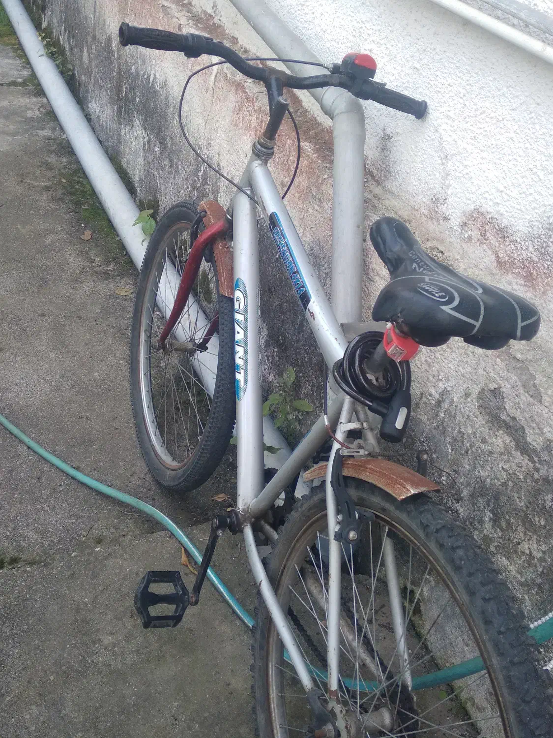 دوچرخه ۲۶|دوچرخه، اسکیت، اسکوتر|رامسر, |دیوار