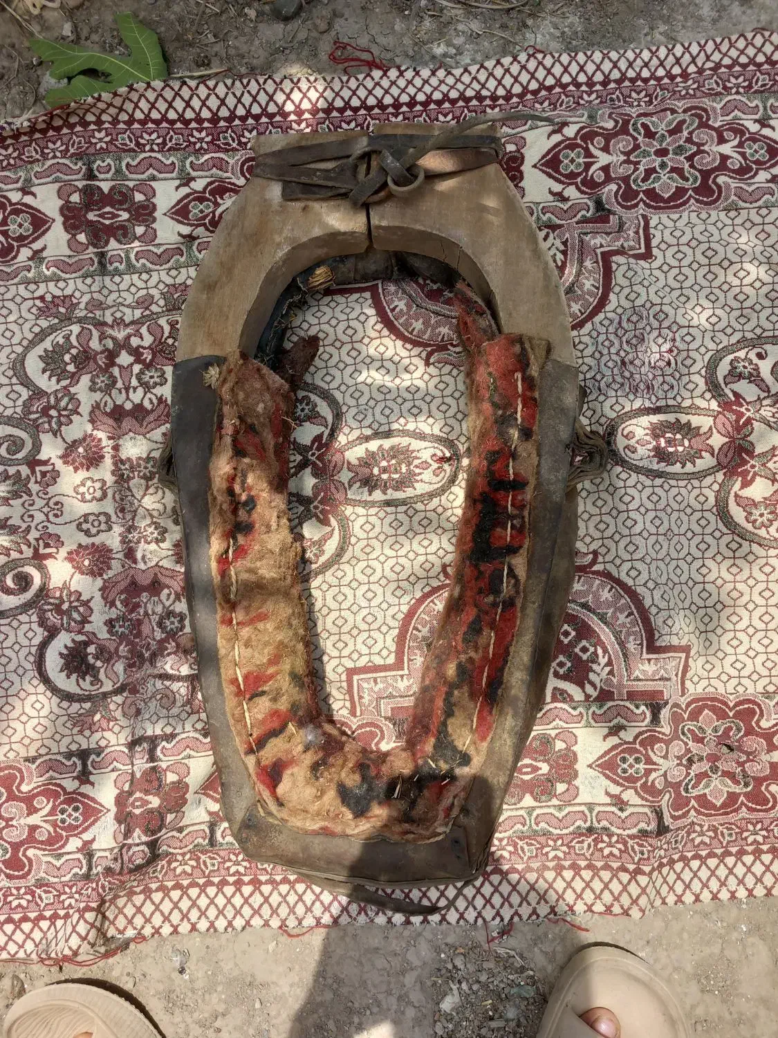 گردنی اسب|اسب و تجهیزات اسب‌سواری|سنگدوین, |دیوار