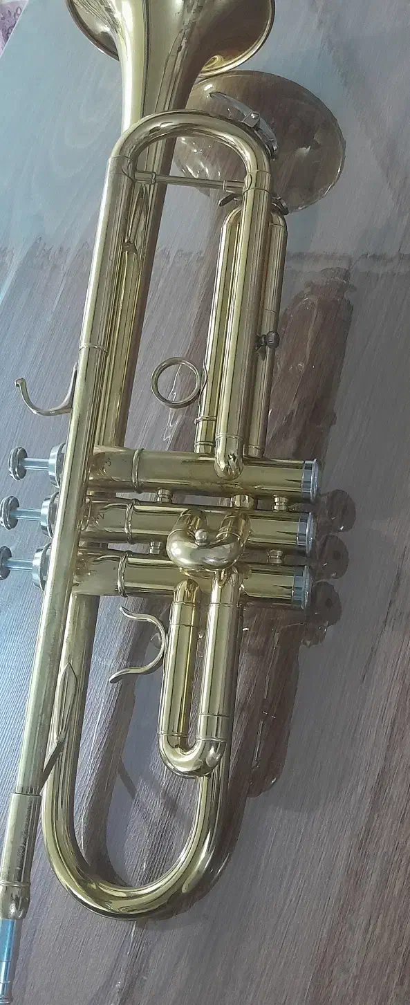 ترومپت(شیپور) پارومنت|سازهای بادی|پیر بکران, |دیوار