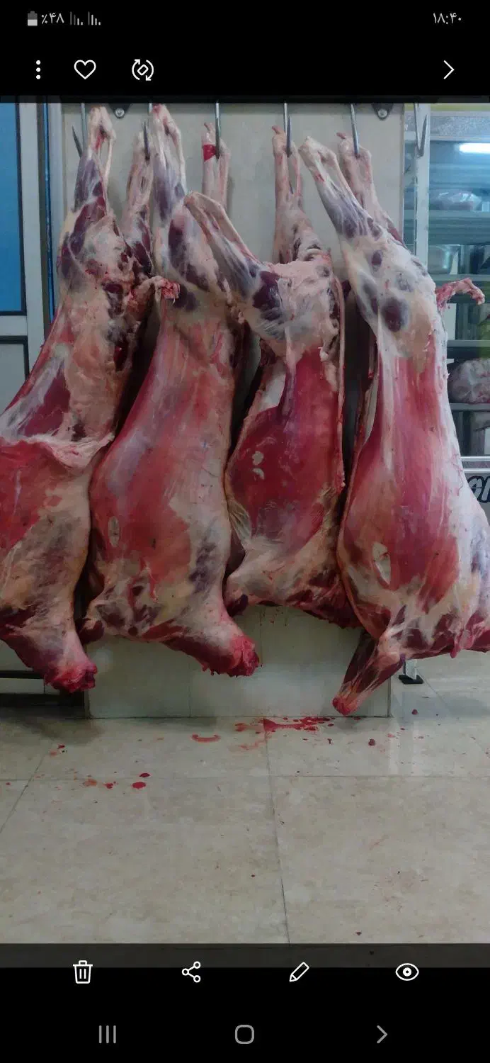 قصاب * گوسفند زنده*سلاخ در محل*کله پاچه پاک میکنیم|خدمات پذیرایی، مراسم|ملایر, |دیوار