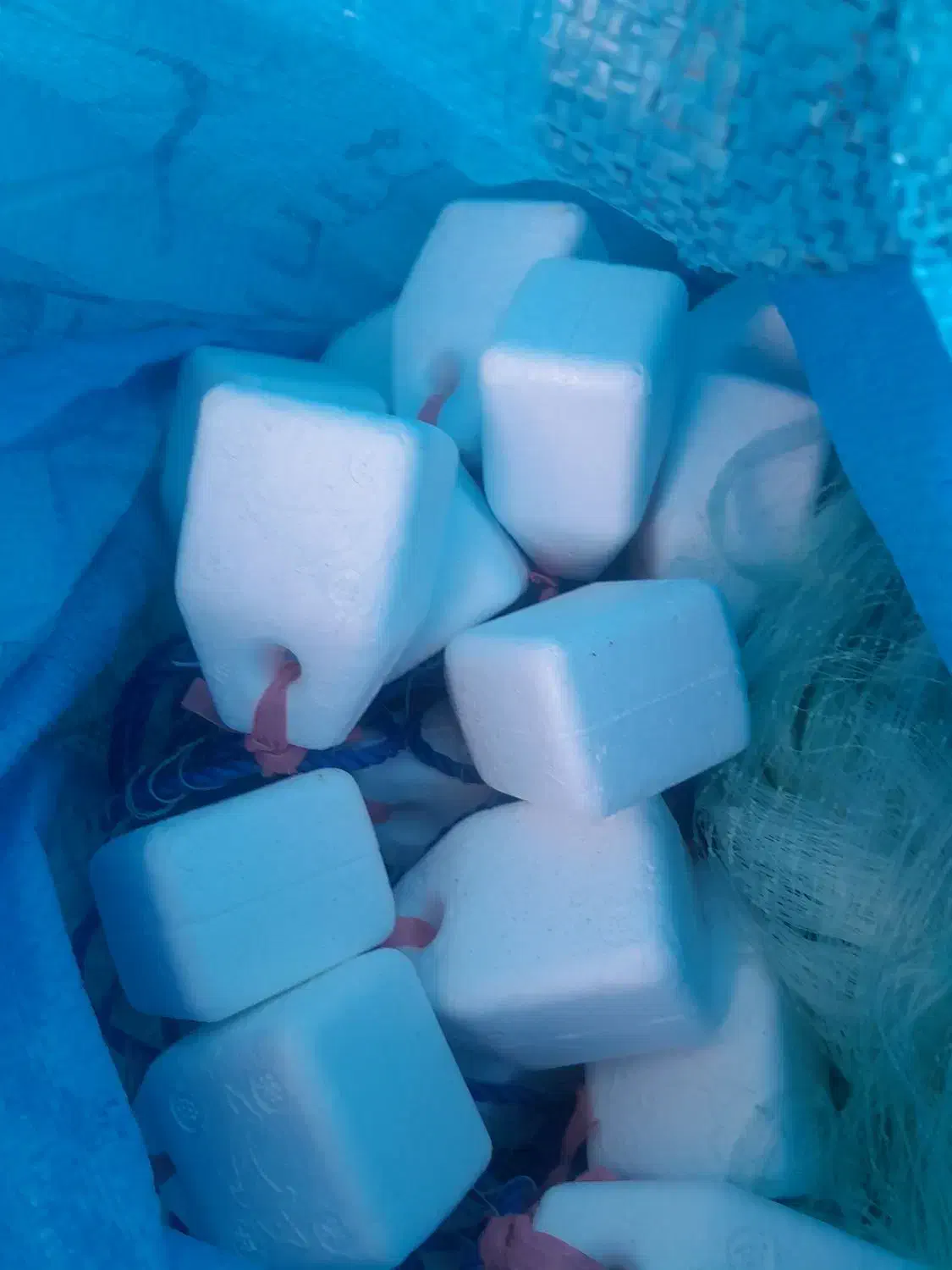 تور گریزی شماره ۲۸|ماهیگیری|بندرعباس, |دیوار