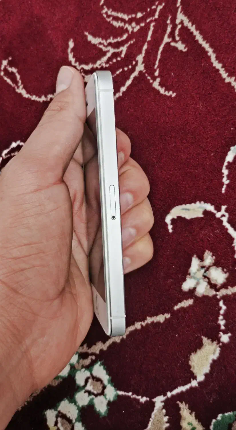 آیفون ۵اس iPhone 5s|موبایل|داراب, |دیوار