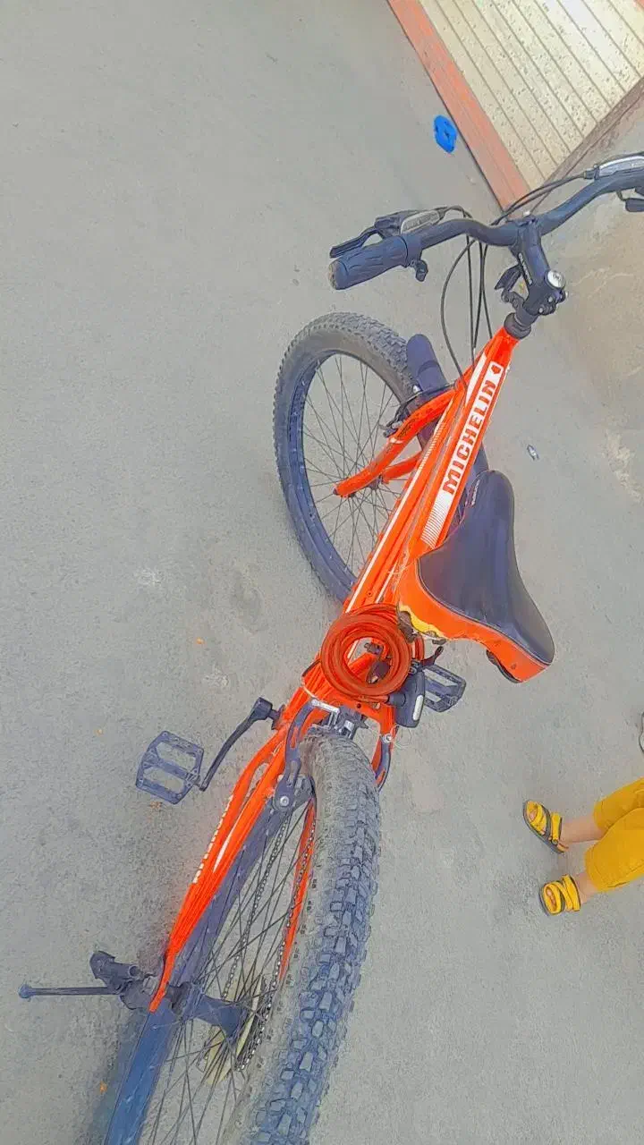 دچرخه ۲۶|دوچرخه، اسکیت، اسکوتر|محمدشهر, کوی بهار|دیوار