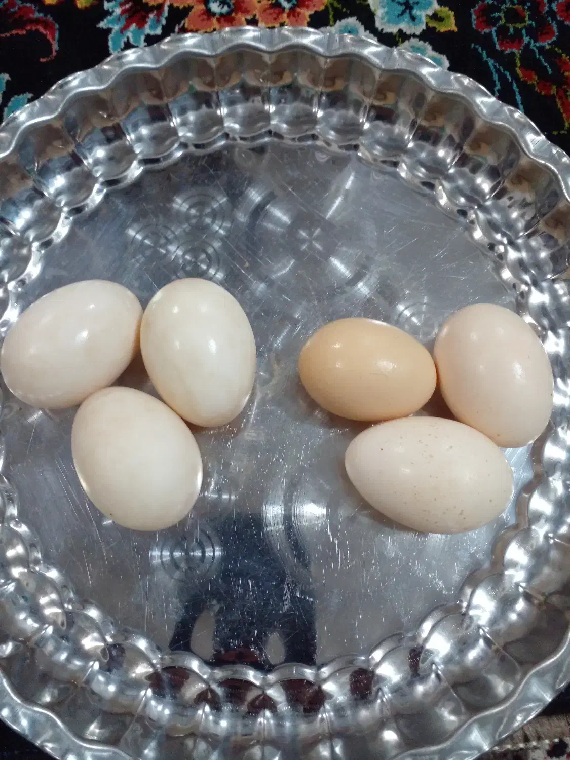 تخم مرغ وتخم اردک تازه موجوده|خوردنی و آشامیدنی|آستانه اشرفیه, |دیوار