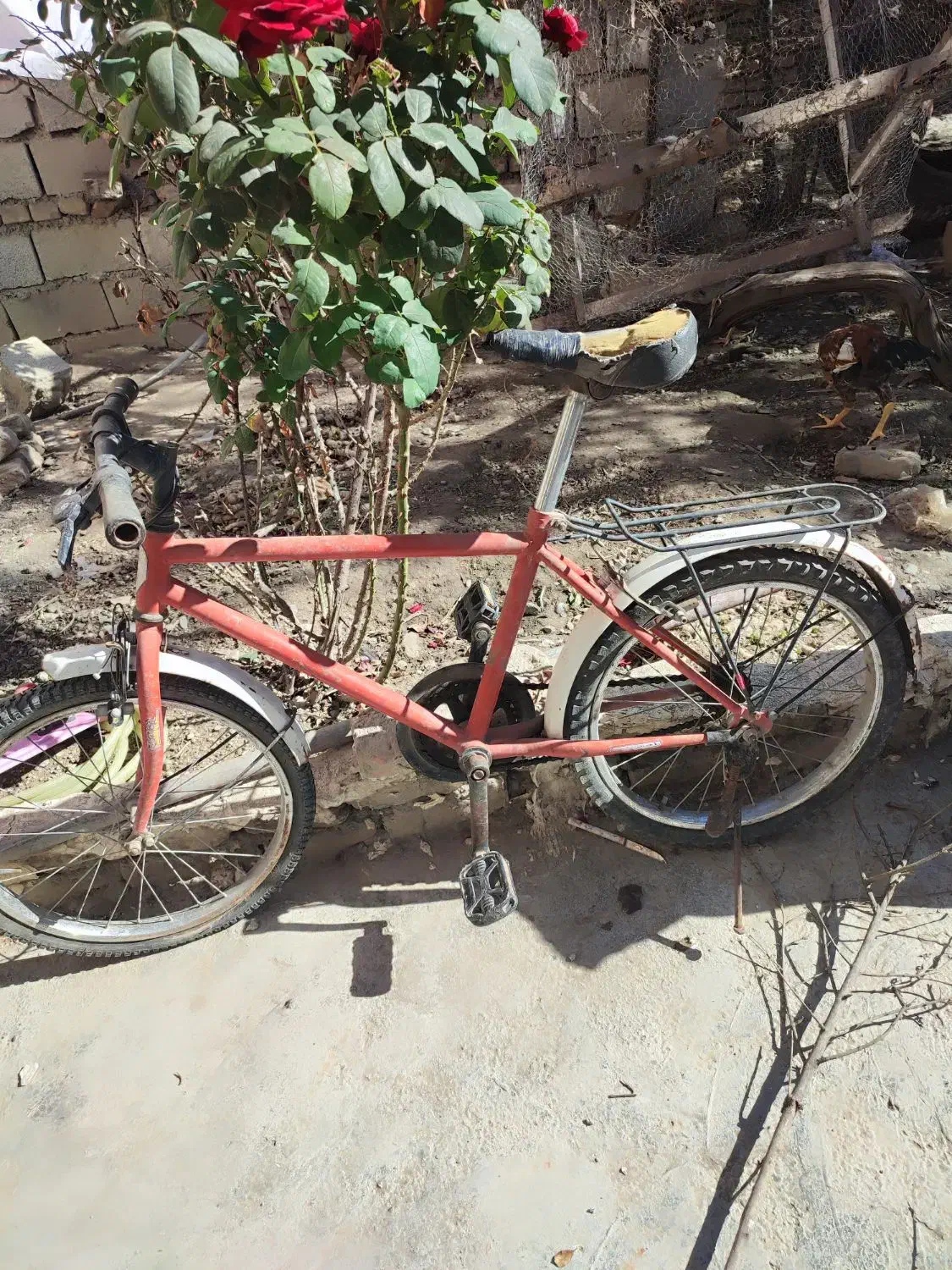 سه عدد دوچرخه|دوچرخه، اسکیت، اسکوتر|گرگان, |دیوار