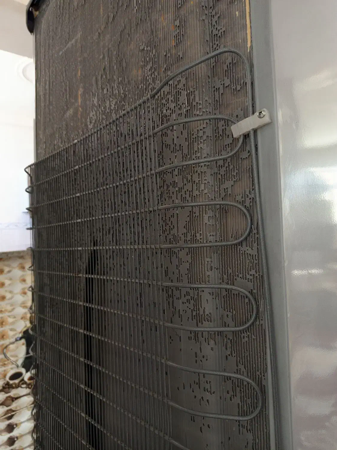 یخچال|یخچال و فریزر|قیدار, |دیوار