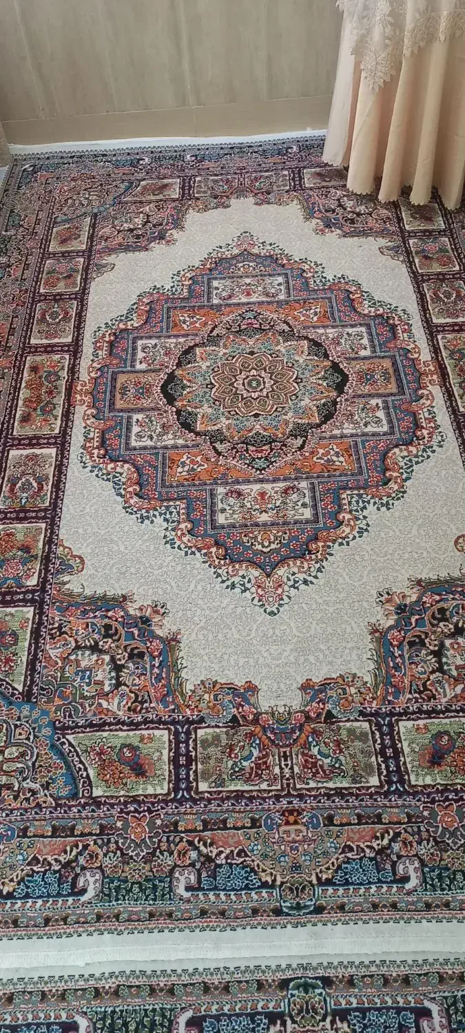 قالی ۶متری ۷۰۰شانه|فرش|تربت جام, شهرک معلم|دیوار