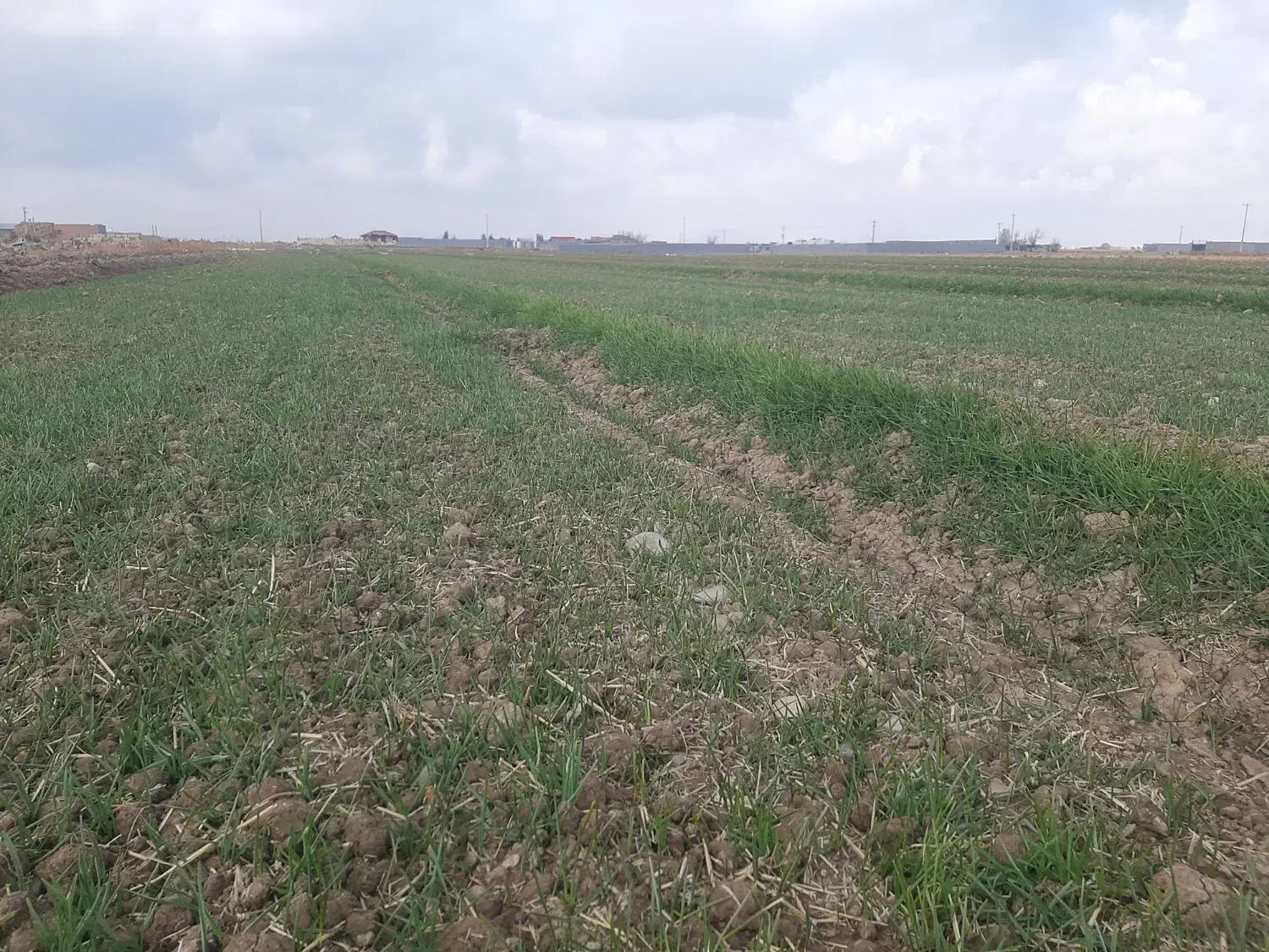 ۳۰۰۰ متر زمین با آب و برق و سند|فروش دفتر صنعتی، کشاورزی، تجاری|رامشه, |دیوار