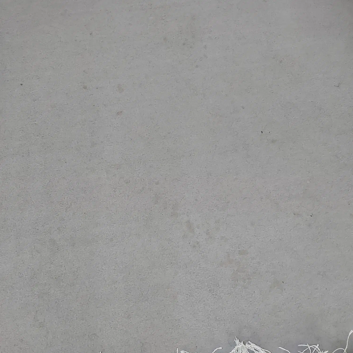 پالاز موکت،نو|موکت|بندر امام خمینی, |دیوار