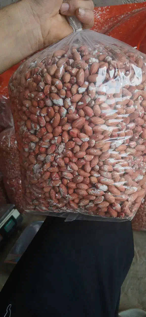 بادام زمینی مغان|خوردنی و آشامیدنی|تهران, ایرانشهر|دیوار