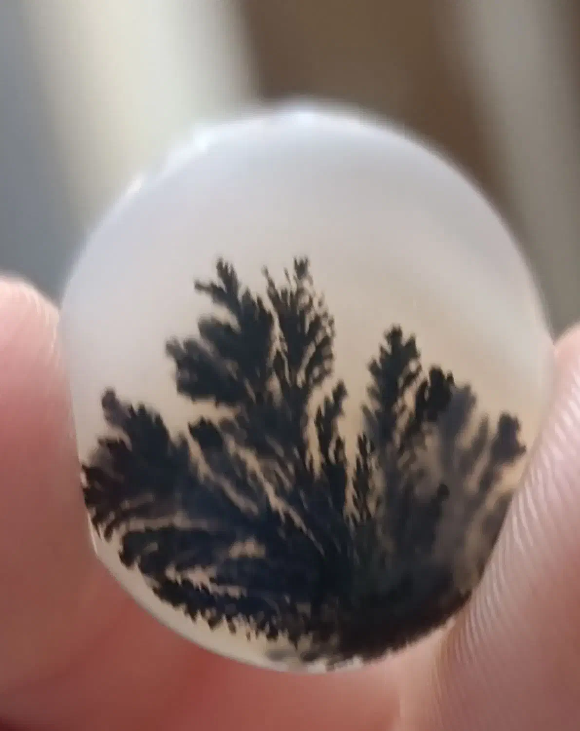 سنگ شجر طبیعی|کلکسیون اشیاء عتیقه|کرمانشاه, |دیوار