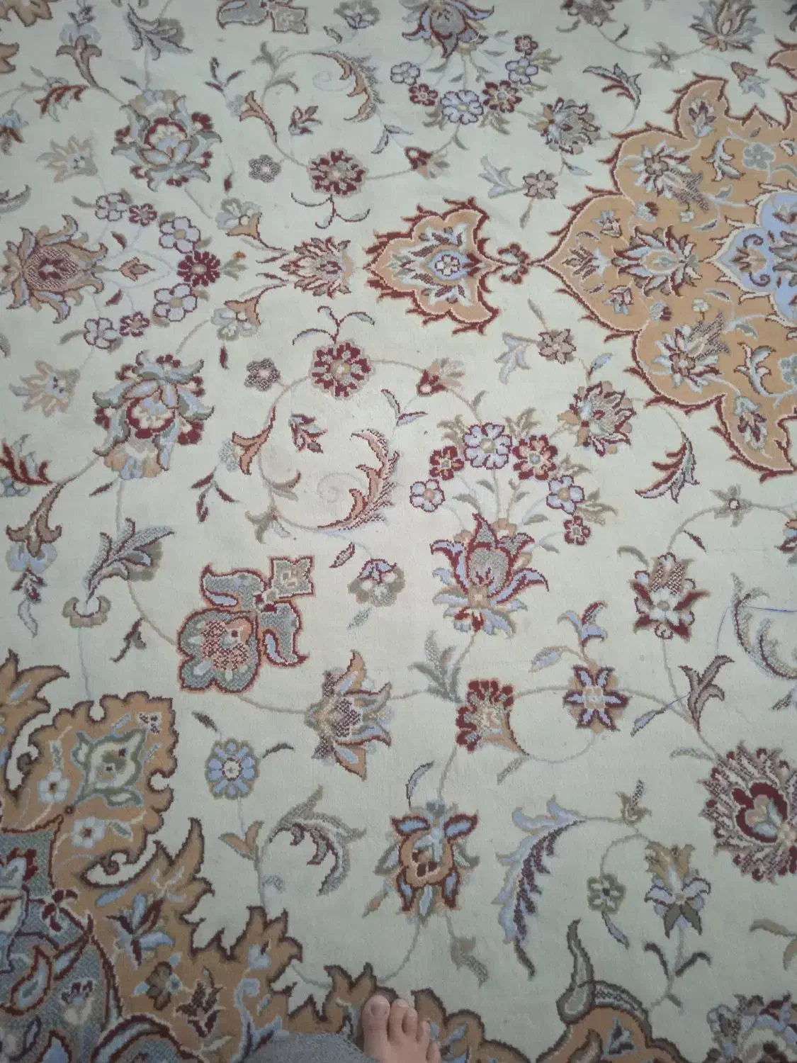 فرش ماشینی تمیز|فرش|گنبد کاووس, |دیوار