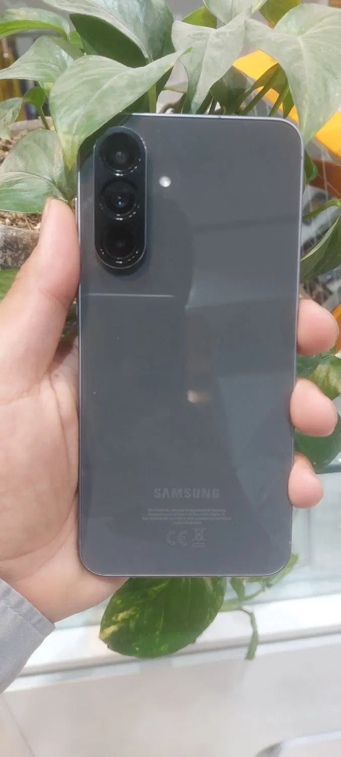Samsung A56|موبایل|مشهد, بهمن|دیوار