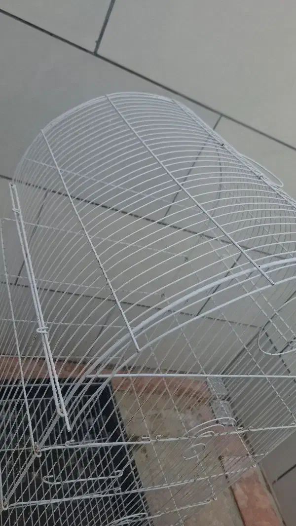 قفس بزرگ|لوازم جانبی حیوانات|مشهد, کارگران|دیوار
